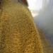 grain