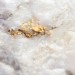 Gold Vein