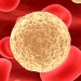 T-Cell