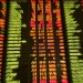 Intepublich shares sored on the news