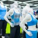 sports retail