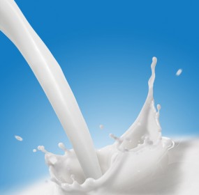 Milk