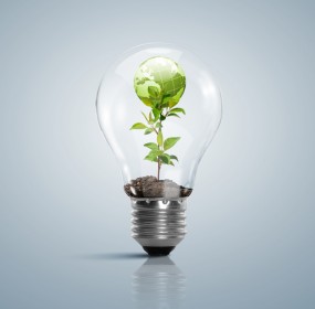 Renewable Energy