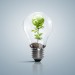 Renewable Energy