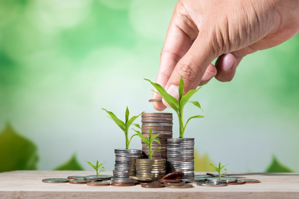 Top Tips for Beginner Investors