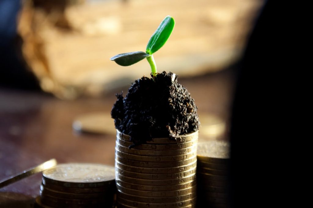 Planning for the Future