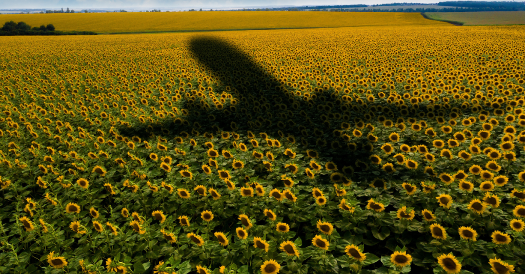 Amex GBT Advocates for Enhanced Sustainable Aviation Fuel Scaling