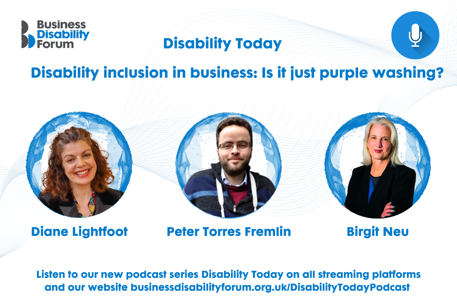 Are companies hiding poor disability practices