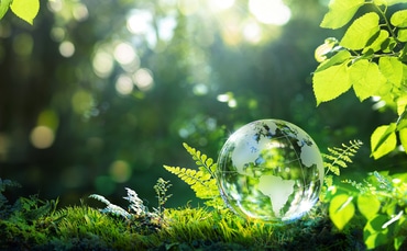 Decline in ESG Consideration Among Investors