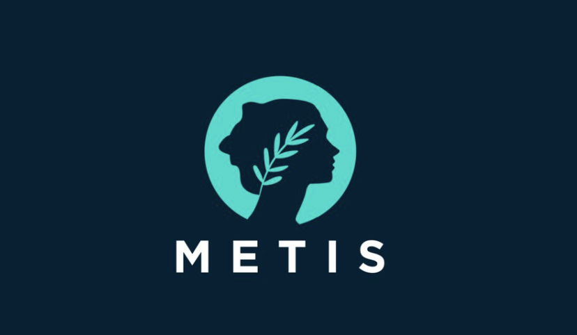 Enhancing Blockchain Experiences Integrating Metis with MetaMask