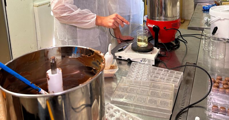 Foreverland Secures €3.4M for Cocoa-Free Chocolate Innovation