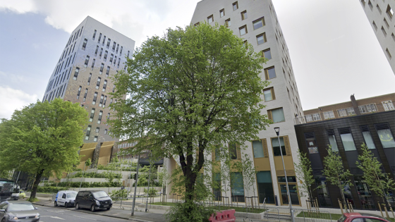 High Court Mandates Payment in Bouygues Subcontractor Dispute