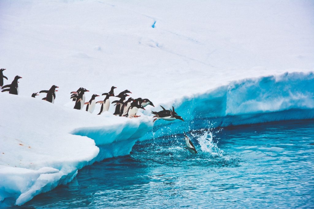 Mundy Adventures Sees Significant Growth in Expedition Cruises