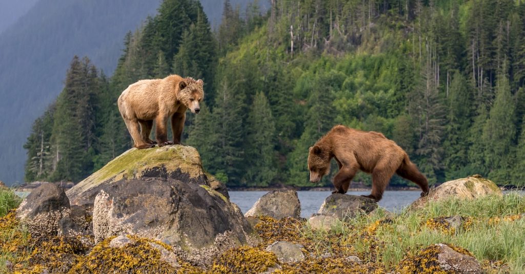 New Canadian Itinerary Inspired by Fiennes Documentary