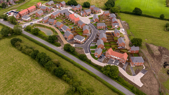 Seddon’s Strategic Triumph Financial Recovery