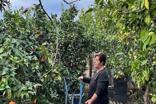 Tui Care Foundation’s Initiative for Greek Farmers