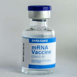 Solicitor’s Misconduct in Anti-Vaccine Campaign