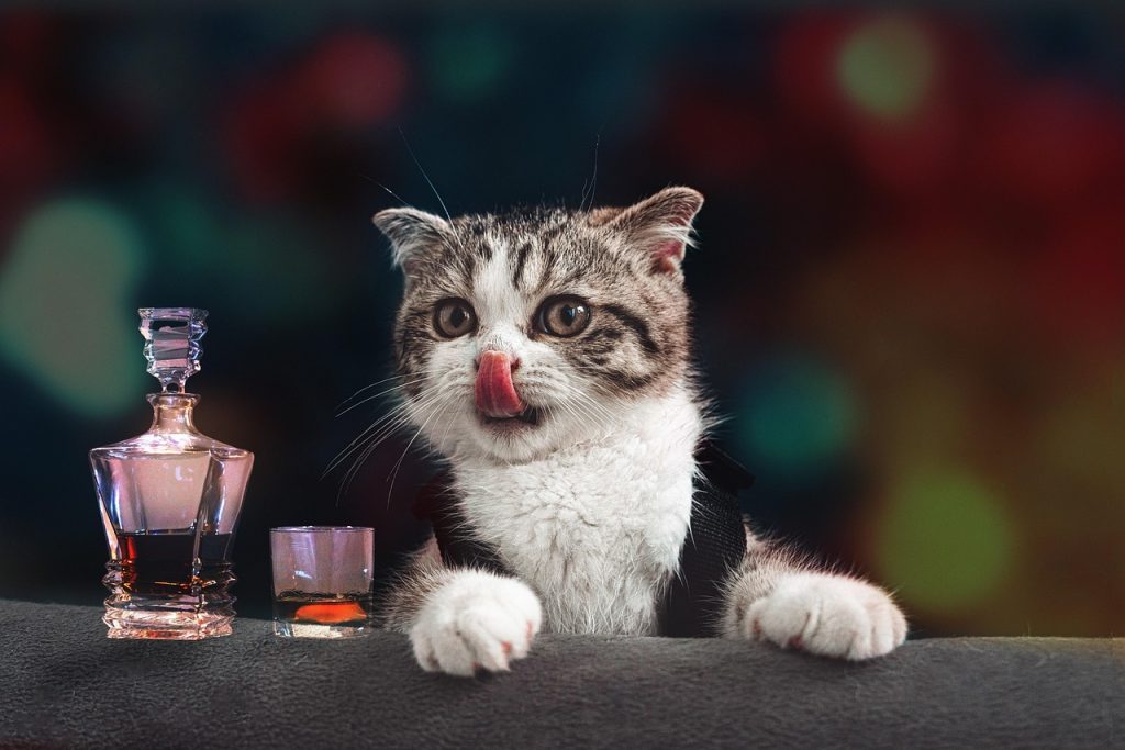 The History of Whisky Cask Investment - From Distilleries to Global Markets