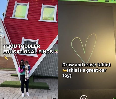 Temu educational toys for kids