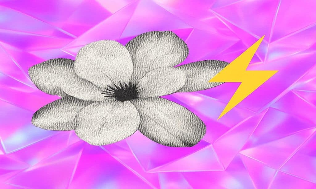 Magnolia Financial Selects Amboss Technologies’ Reflex as Compliance Provider for Lightning Operations