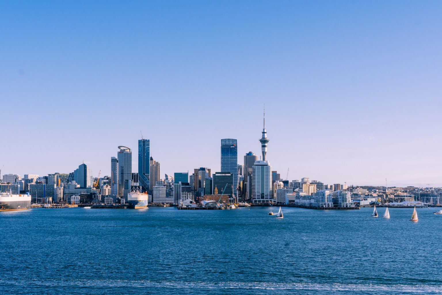 Global Investors Are Betting Big on New Zealand Global Investors Are Betting Big on New Zealand