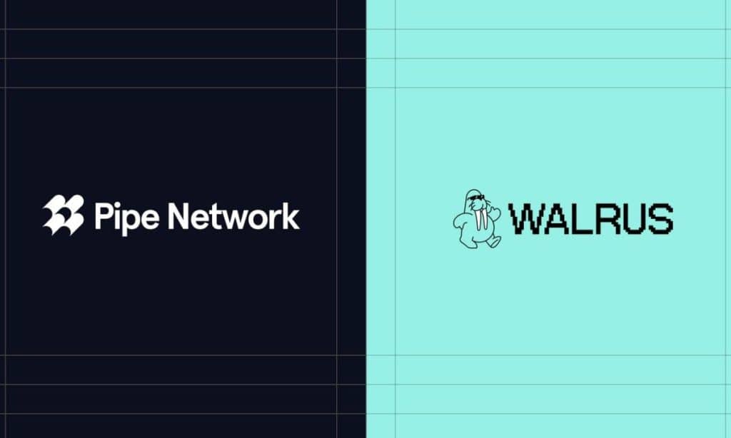 Walrus Integrates with Pipe Network to Increase Bandwidth and Reduce Latency Across Multiple Chains