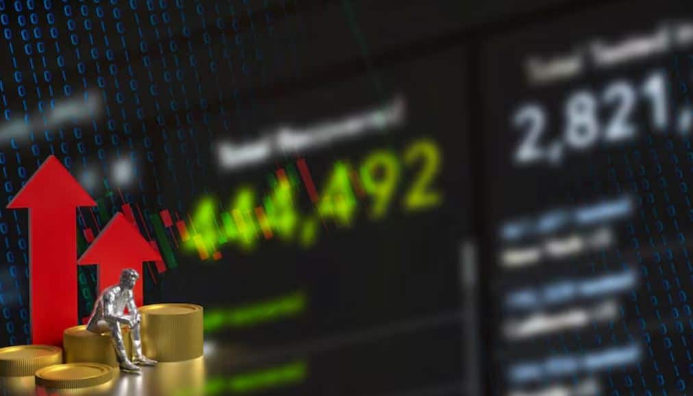 Index Fund