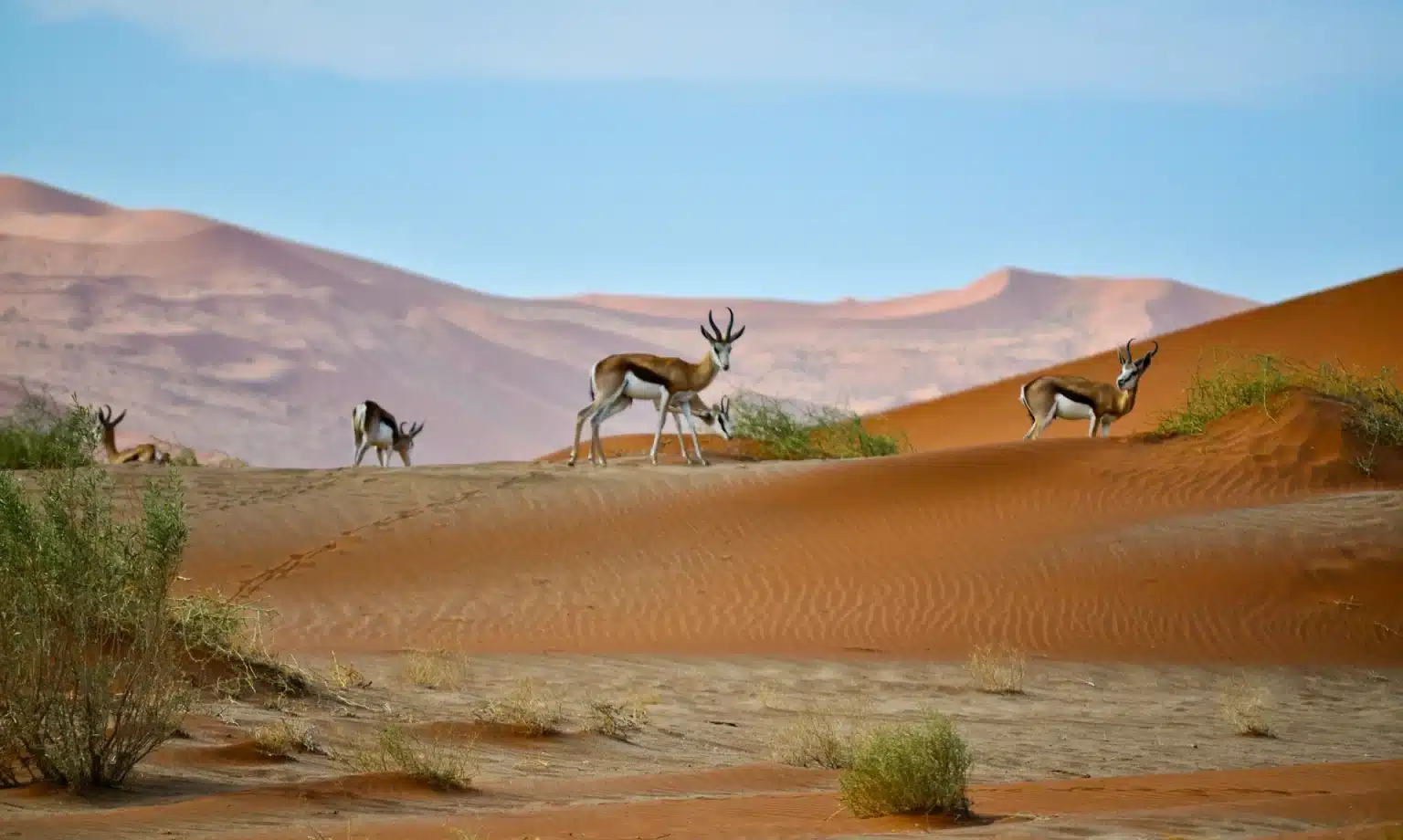 Five Namibia Trips Worth Every Hour of Travel Time Namibia trips