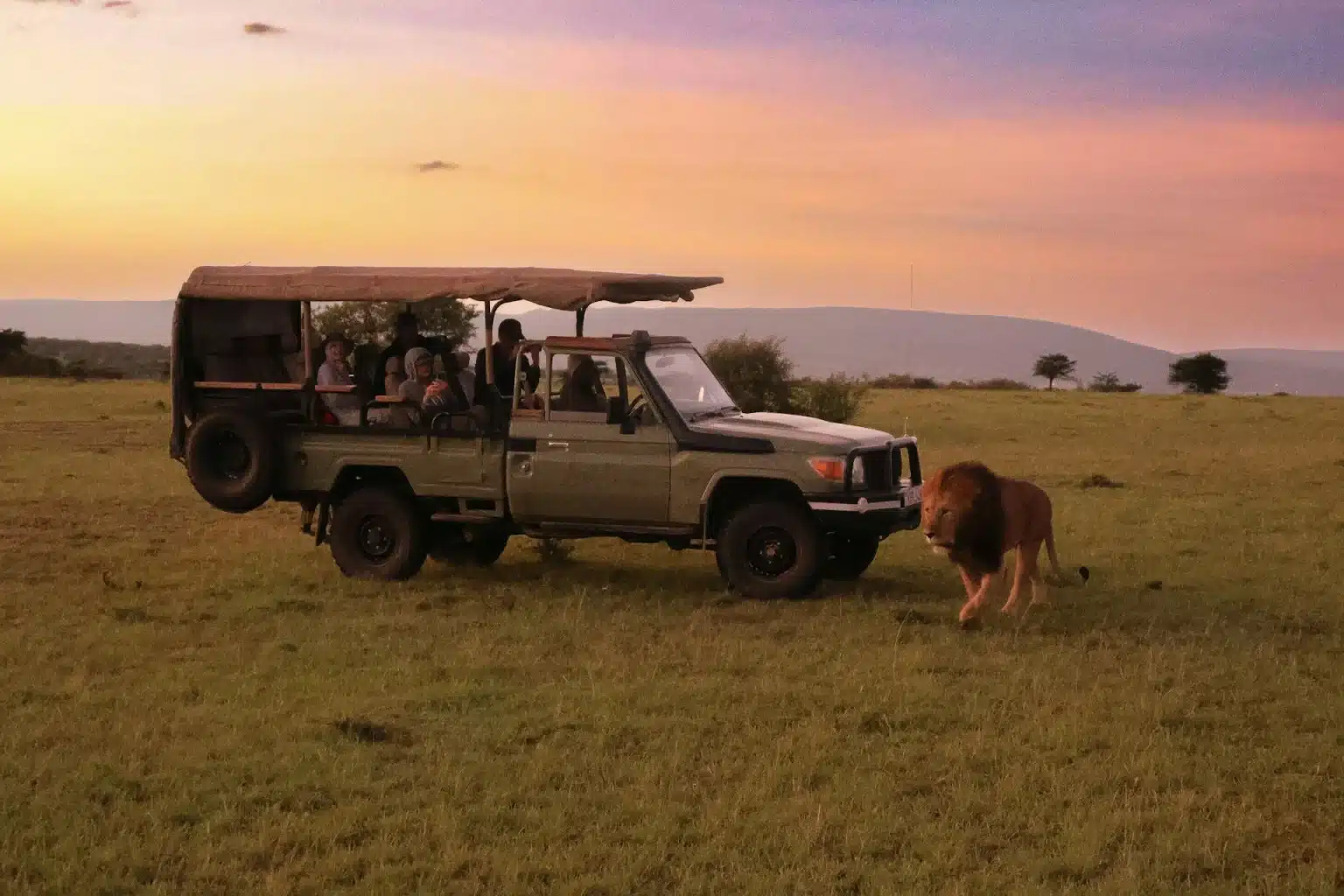 Luxury African Safaris Are Worth Every Penny — Here’s What You Actually Get Luxury African Safaris