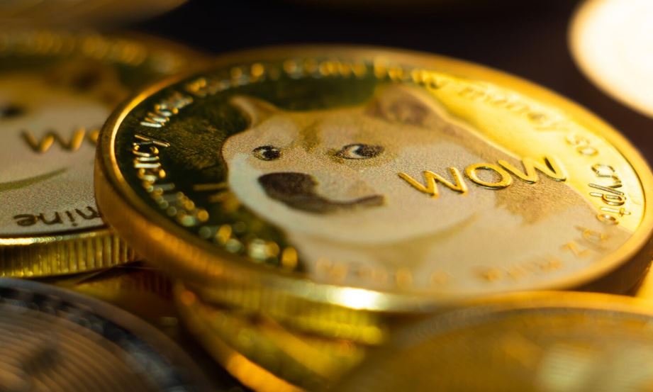 Dogecoin And Bitcoin Market Rebound